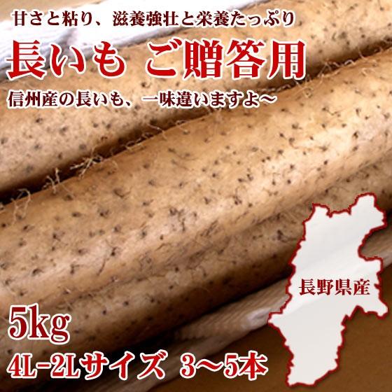 長いも 「春/秋の新堀り」 4L-2Lサイズ 3〜5本 5kg 特秀 ご贈答用 長野県産の長いもは味...