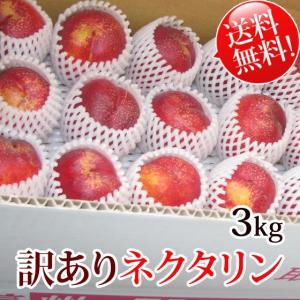 送料無料!!　訳ありネクタリン　約3kg　核割れ　キズ・サビあり｜kudamonoya