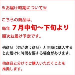 送料無料!! 訳あり ネクタリン 約3kg 核...の詳細画像1