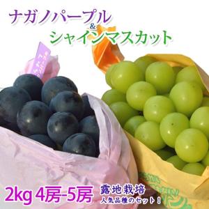 ナガノパープル＆シャインマスカット セット 2キロ4-5房 ギフト
