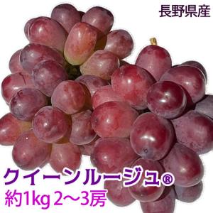 クイーンルージュ(R)  約1kg 2〜3房 特秀 2021年から流通の種！