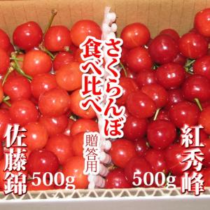 佐藤錦/紅秀峰 送料無料!  ご贈答用さくらんぼ  食べ比べ・詰め合わせ 500g×2  期間限定販売　2022年販売予定なし