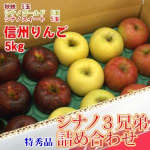 シナノ3兄弟 約5kg 特秀 15玉 ギフト詰め合わせ 長野りんご 送料無料｜kudamonoya