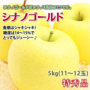 シナノゴールド 長野県産 リンゴ 特秀 5kg 11-12玉 大玉 バランスよく果汁多めのリンゴ｜kudamonoya