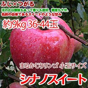 アルプス乙女 ちっちゃいりんご 10kg S〜3L混 : くだもの屋 - 通販