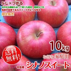 シナノスイート リンゴ 信州産 訳あり 約10kg 家庭用 お得な家庭用 　長野 りんご｜kudamonoya