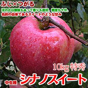 シナノスイート 長野県産 10kg 24-26玉 特秀 注目度No.1フルーツ
