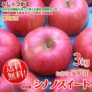 アルプス乙女 ちっちゃいりんご 10kg S〜3L混 : くだもの屋 - 通販