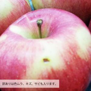 シナノスイート リンゴ 訳あり 送料無料 約3...の詳細画像2