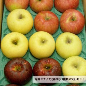 シナノスイート リンゴ 訳あり 送料無料 約3...の詳細画像4