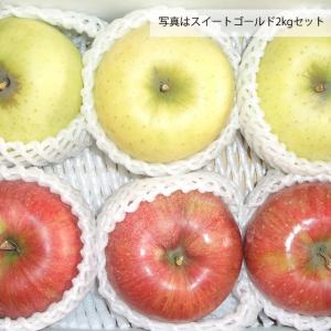 シナノスイート リンゴ 訳あり 送料無料 約3...の詳細画像5