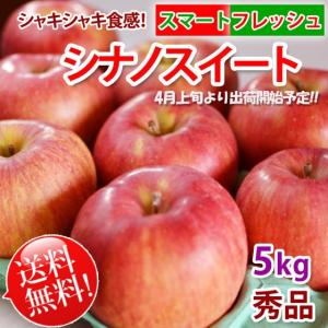 シナノスイート リンゴ 「スマートフレッシュ」貯蔵りんご 長...