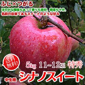 サンふじ 10kg 32-36玉 小玉 特秀 ギフト 送料無料 長野リンゴ