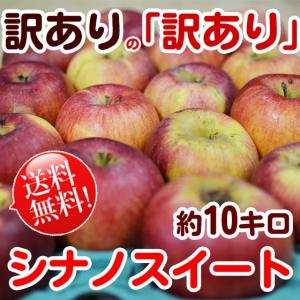 シナノスイート 約10kg [送料無料] 訳ありの「訳あり」 キズ大きめ多め 数限定！ 中小玉混