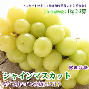 シャインマスカット 高級白ぶどう 1kg 2-3房 送料無料｜kudamonoya