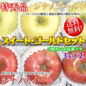 スイートゴールドセット ギフト 約2kg3玉×2  注目りんごの詰め合わせ 特秀 送料無料｜kudamonoya