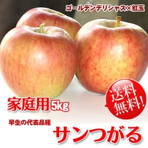 まるっとりんごプレザーブジャム -信州産サンふじリンゴ- 410g×6本