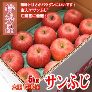 サンふじ 信州りんご 5キロ 特秀 大玉 12-13玉 お歳暮