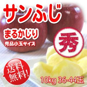 まるかじり-サンふじ リンゴ 秀品小玉 10kg...の商品画像