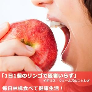 まるかじり-サンふじ リンゴ 秀品小玉 10k...の詳細画像1