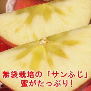 まるかじり-サンふじ リンゴ 秀品小玉 10k...の詳細画像3