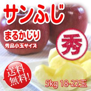 まるかじり-サンふじ 秀品 小玉 5kg 18〜22玉【長野りんご】 送料無料 リンゴ
