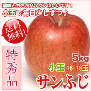 サンふじ 5kg 16-18玉 小玉 特秀 ギフ...の商品画像