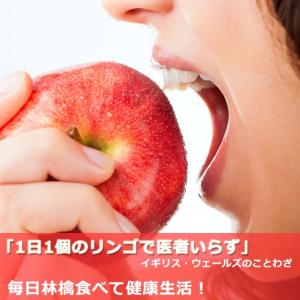サンふじ 5kg 16-18玉 小玉 特秀 ギ...の詳細画像1