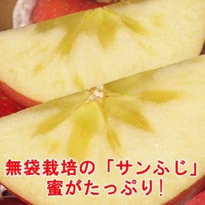 サンふじ 5kg 16-18玉 小玉 特秀 ギ...の詳細画像3