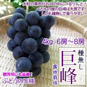 種無し巨峰 4kg 6-11房 長野ぶどう　希少ブドウ レア｜kudamonoya