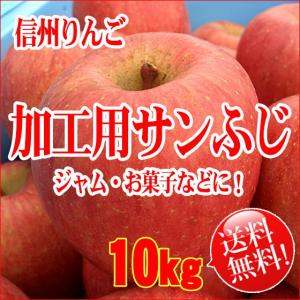 加工用サンふじ [送料無料] やわらかりんご混 10kg りんごバター、焼きりんご、ジュースなど加工用に [2026年の加工用はキズ大きめりんご]