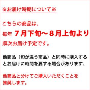 ワッサー 【訳あり】3キロ 押しキズありなどの...の詳細画像5
