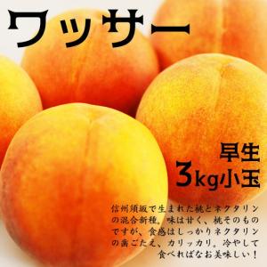 ワッサー 小玉 3kg 桃とネクタリンの自然交配果実｜kudamonoya