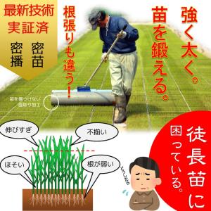 　美善 健苗ローラー KBR-15W　代引不可