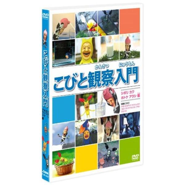 こびと観察入門 シボリ カワ ホトケ アラシ編 DVD