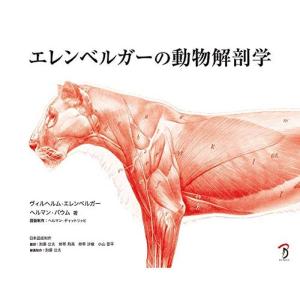 エレンベルガーの動物解剖学｜kudos24