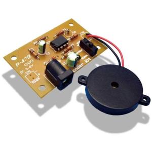 電子小鳥リターンズ (ワンダーキット P-479)