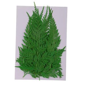 シダ植物 一覧 アートフラワースタンド花 の商品一覧 造花 アートフラワー 花 ガーデニング 通販 Yahoo ショッピング