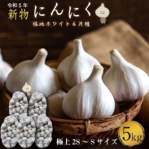 青森 にんにく5kg SSサイズ 約150玉から175玉 福地ホワイト6片 国産 ニンニク 新物 送料無料 Y常｜くいしんぼうドットコム