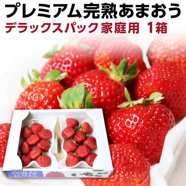 あまおう 福岡産 完熟あまおう280g以上 ×2パック いちご 苺 ご家庭用 農家直送 デラックスパ...