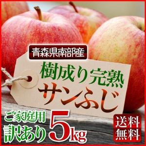 青森りんご★限定特価★【青森県南部産 樹成り完熟 ご家庭用 訳ありサンふじりんご５kg】送料無料
