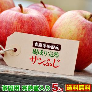 りんご サンふじ 完熟蜜入り５kg 青森県南部産 樹成り完熟 ご家庭用  訳あり 送料無料 グルメ Y常