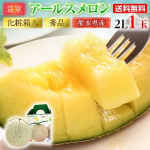 ギフト メロン アールスメロン 秀品 ２L/１玉 熊本県産 温室 送料無料 高級メロン フルーツ 果物 S常