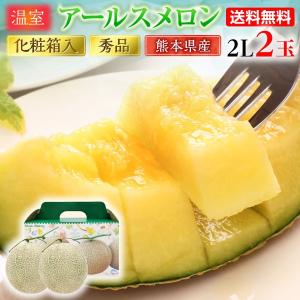 父の日 プレゼント 父の日ギフト 母の日 遅れてごめんね メロン アールスメロン 秀品 ２L/２玉 熊本県産 温室 送料無料 高級メロン 産直 フルーツ 果物 甘い S常｜kuishinboucom