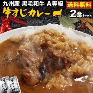 カレー レトルト 九州産黒毛和牛 A等級牛すじ使用 極旨牛すじカレー 2食 本格カレールー 自然素材 独自ブレンド 簡単調理 時短 メール便 送料無料