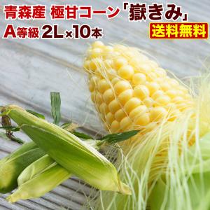 予約開始 早割 とうもろこし 嶽きみ (恵味) 朝採り 産地直送 青森県産 プレミアムA等級 2Lサイズ 10本入 ×1箱 極甘 コーン 送料無料 Y蔵｜kuishinboucom