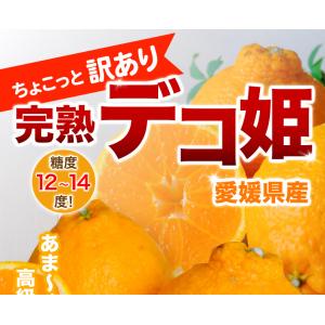 愛媛産 デコポン 訳あり 5kg フルーツ 果...の詳細画像2