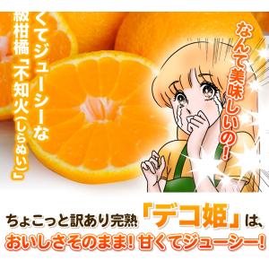 愛媛産 デコポン 訳あり 5kg フルーツ 果...の詳細画像3