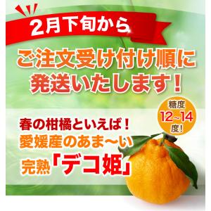 愛媛産 デコポン 訳あり 5kg フルーツ 果...の詳細画像5