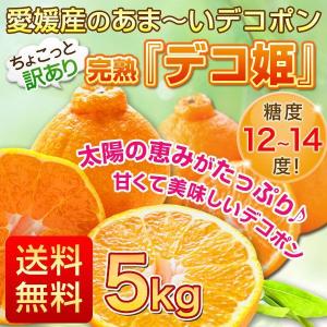 でこぽん 訳あり 早期予約 春みかん デコポンと同品種（不知火）愛媛産完熟デコ姫５kg 送料無料  大きさ不揃い自家用 J常